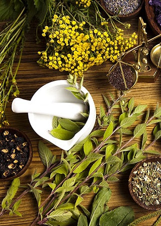 Herbal Herbal