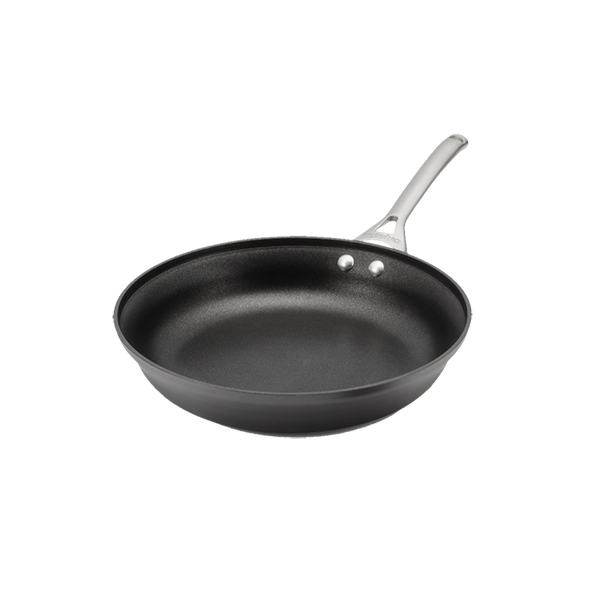 Contemporary Nonstick 10-In. & 12-In. Fry Pan Set